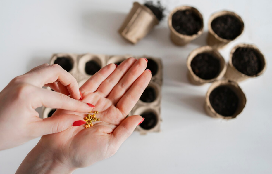 Виды обработки семян